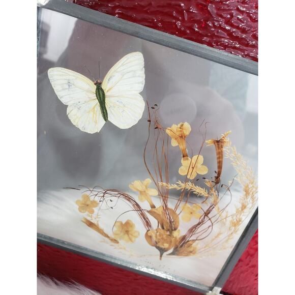 Vintage Real Butterfly Dried Pressed Flower Stained Glass Sun Catcher Decor Boho - Picture 8 of 14